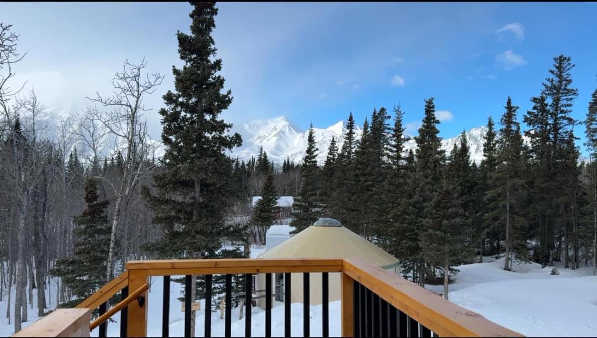 Mount Logan Ecolodge & Retreat Center Haines Junction Dış mekan fotoğraf