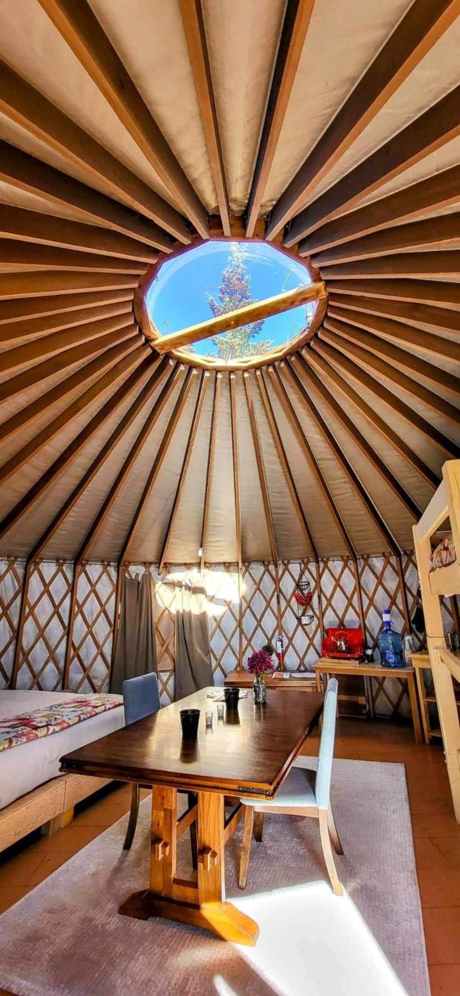 Mount Logan Ecolodge & Retreat Center Haines Junction Dış mekan fotoğraf